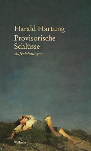 Provisorische Schlüsse: Aufzeichnungen von Wallstein Verlag
