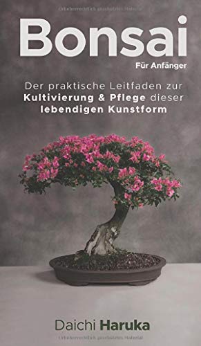 Bonsai für Anfänger: Der praktische Leitfaden zur Kultivierung & Pflege dieser lebendigen Kunstform
