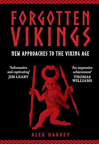 Forgotten Vikings: New Approaches to the Viking Age von Amberley Publishing