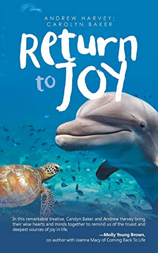 Return to Joy von iUniverse