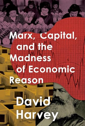 Marx, Capital, and the Madness of Economic Reason von Oxford University Press