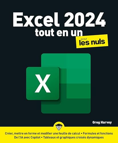 Excel 2024 Tout en un pour les Nuls von POUR LES NULS