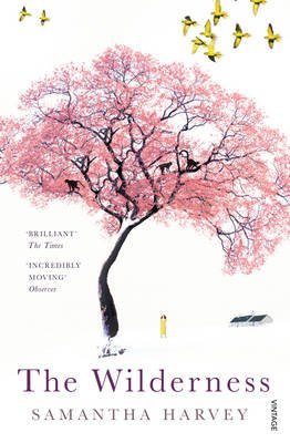 The Wilderness[ THE WILDERNESS ] By Harvey, Samantha ( Author )Apr-06-2010 Paperback