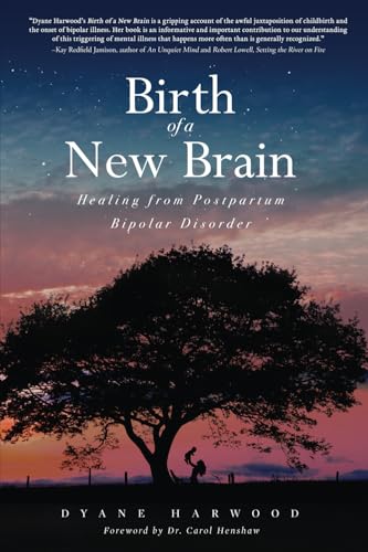 Birth of a New Brain: Healing from Postpartum Bipolar Disorder Birth of a New Brain: Healing from Postpartum Bipolar Disorder von Post Hill Press