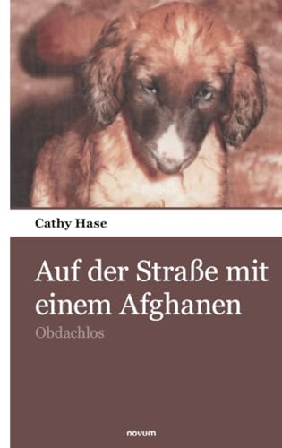 Auf der Straße mit einem Afghanen: Obdachlos von novum Verlag