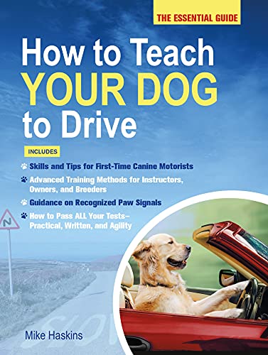 HOW TO TEACH YOUR DOG TO DRIVE: The Essential Guide