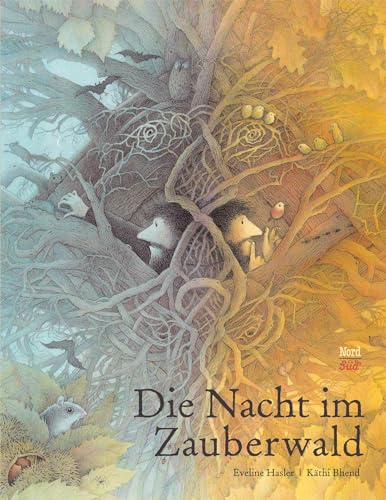 Die Nacht im Zauberwald: Bilderbuch