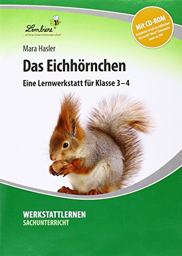 Das Eichhörnchen: (3. und 4. Klasse)