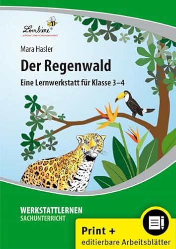 Der Regenwald: (3. und 4. Klasse)