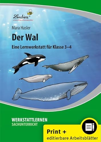 Der Wal: (3. und 4. Klasse)