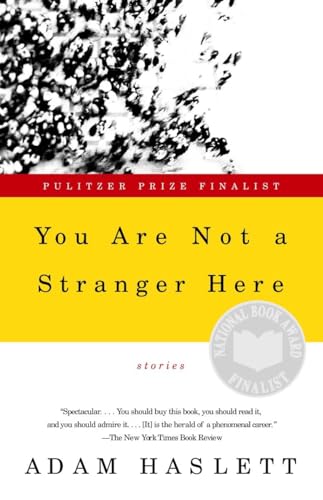 You Are Not a Stranger Here: Stories von Anchor Books