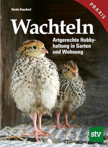 Wachteln: Artgerechte Hobbyhaltung in Garten und Wohnung von Stocker, L