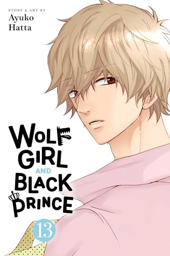 Wolf Girl and Black Prince, Vol. 13 (WOLF GIRL BLACK PRINCE GN, Band 13) von Viz LLC