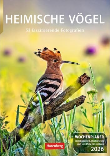 Heimische Vögel Wochenplaner 2026 - 53 faszinierende Fotografien: Wochenkalendarium, Infos zu den porträtierten Vogelarten und viel Platz für Termine ... 2026 zum Eintragen (Wochenplaner Harenberg) von Harenberg