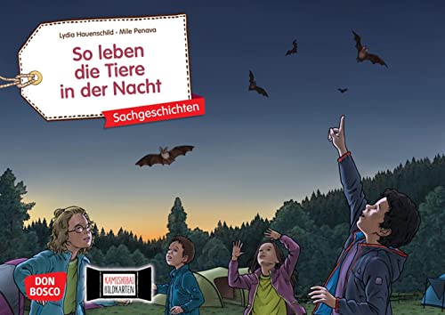 So leben die Tiere in der Nacht. Kamishibai Bildkartenset: Entdecken - Erzählen - Begreifen: Sachgeschichten. Mit dem Erzähltheater Natur-Wissen für ... (Sachgeschichten für unser Erzähltheater)