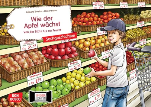 Wie der Apfel wächst. Von der Blüte bis zur Frucht. Kamishibai Bildkartenset: Entdecken - Erzählen - Begreifen: Sachgeschichten (Sachgeschichten für unser Erzähltheater)