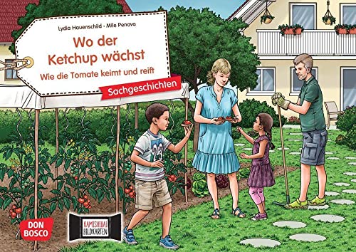 Wo der Ketchup wächst. Wie die Tomate keimt und reift. Kamishibai Bildkartenset: Gärtnern mit Kindern: Tomatenpflanzen pflegen für Kinder ab 4 (Sachgeschichten für unser Erzähltheater) von Don Bosco