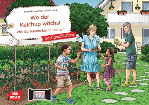 Wo der Ketchup wächst. Wie die Tomate keimt und reift. Kamishibai Bildkartenset: Gärtnern mit Kindern: Tomatenpflanzen pflegen für Kinder ab 4 (Sachgeschichten für unser Erzähltheater) von Don Bosco