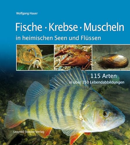Fische Krebse Muscheln in heimischen Seen und Flüssen: 115 Arten in über 350 Lebendabbildungen