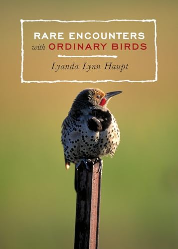 Rare Encounters with Ordinary Birds von Sasquatch Books