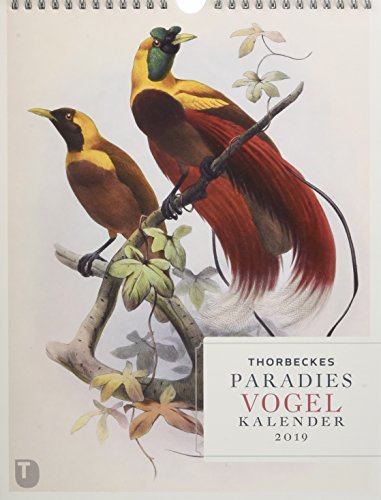 Thorbeckes Paradiesvogel Kalender 2019