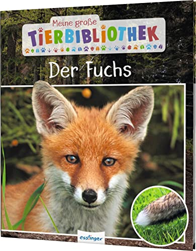 Meine große Tierbibliothek: Der Fuchs: Sachbuch für Vorschule & Grundschule