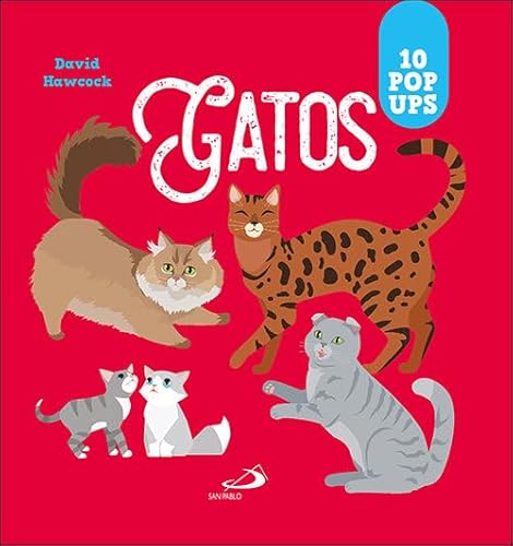Gatos: 10 pop ups (Aprender, jugar y descubrir) von SAN PABLO