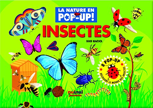 La nature en pop-up - Insectes