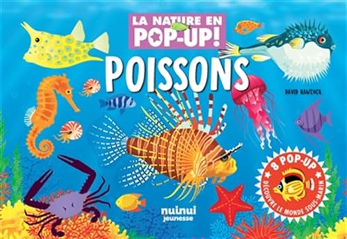La nature en pop up - Poissons von NUINUI JEUNESSE