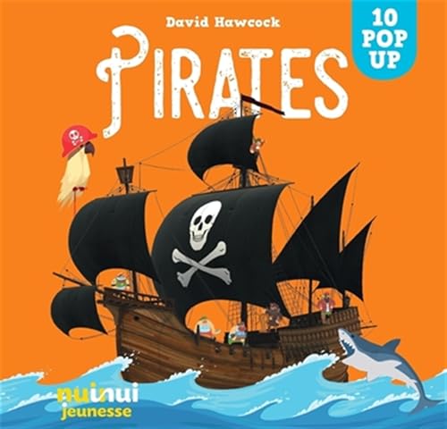 Saisissants pop-up pirates: 10 pop up