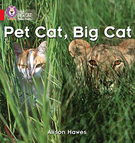 Pet Cat, Big Cat: A photographic recount comparing pet cats and big cats (Collins Big Cat Phonics)