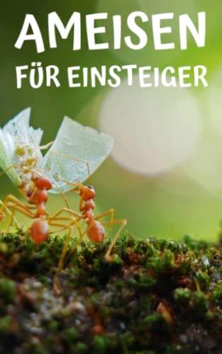 Ameisen für Einsteiger: Ratgeber für erfolgreiches Ameisen halten in einer Ameisenfarm für Anfänger Ameisen für Einsteiger: Ratgeber für erfolgreiches Ameisen halten in einer Ameisenfarm für Anfänger