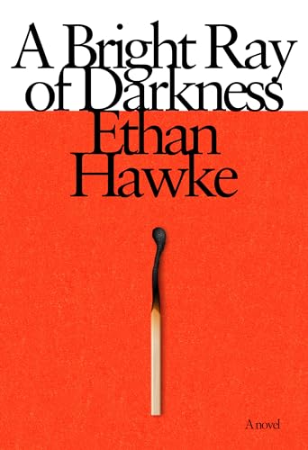 A Bright Ray of Darkness: A novel