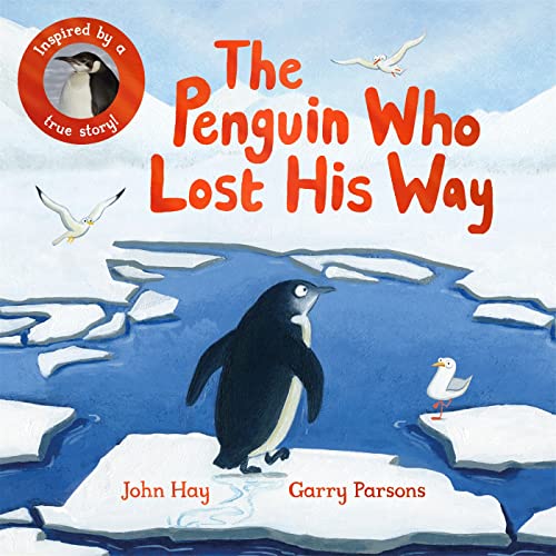 The Penguin Who Lost His Way: Inspired by a True Story von Macmillan Children's Books