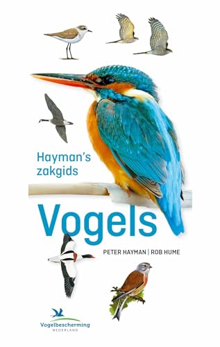 Hayman's zakgids vogels von Kosmos Uitgevers