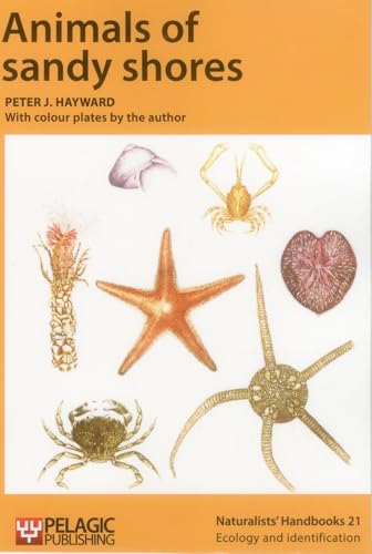 Animals of sandy shores (Naturalists' Handbooks, 21, Band 21)
