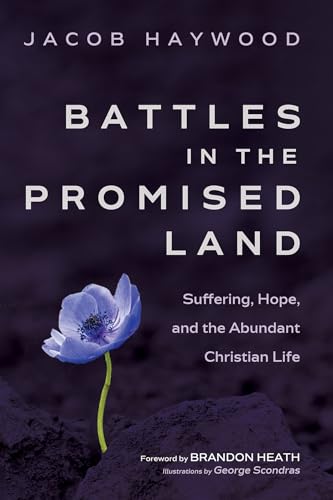 Battles in the Promised Land: Suffering, Hope, and the Abundant Christian Life von Wipf and Stock