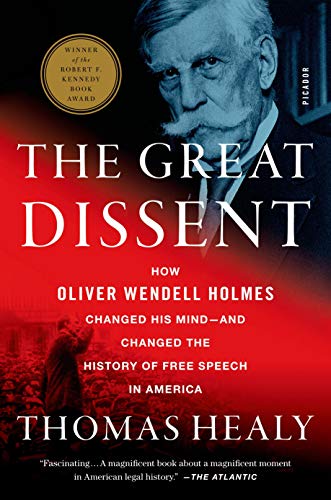 Great Dissent: How Oliver Wendell Holmes Changed His Mind--and Changed the History of Free Speech in America von Picador
