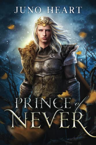Prince of Never: The Fae Prince Special Edition (Black Blood Fae) von Amy J. Heart