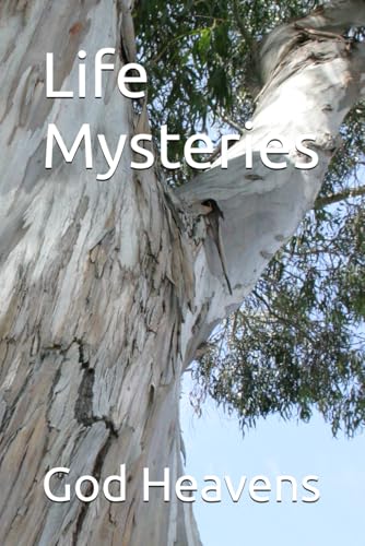 Life Mysteries von Independently published