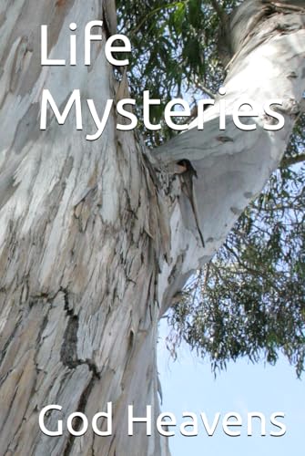 Life Mysteries von Independently published