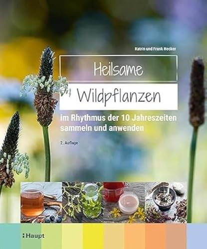 Heilsame Wildpflanzen: im Rhythmus der 10 Jahreszeiten sammeln und anwenden von Haupt Verlag AG