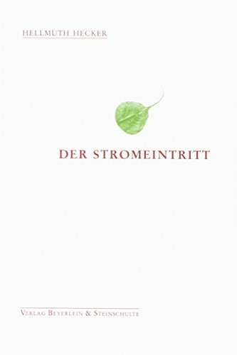 Der Stromeintritt