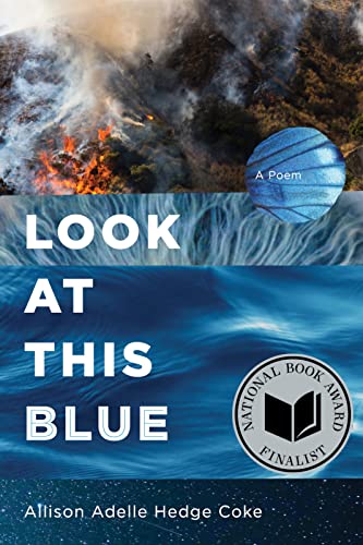 Look at This Blue von Coffee House Press