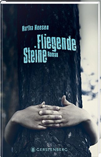 Fliegende Steine: Roman
