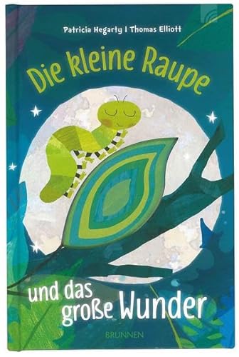 Die kleine Raupe und das große Wunder Die kleine Raupe und das große Wunder