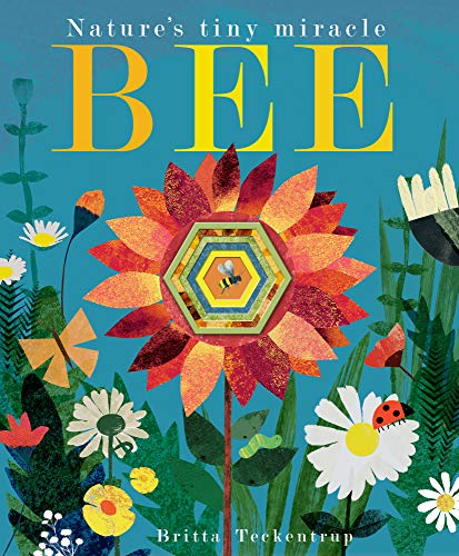 Bee: Nature's tiny miracle von Little Tiger Kids