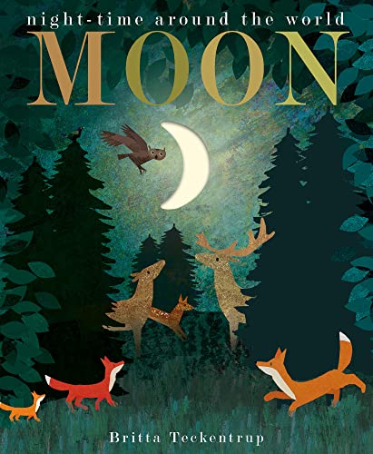 Moon: night-time around the world (Peek-through Nature) von Little Tiger