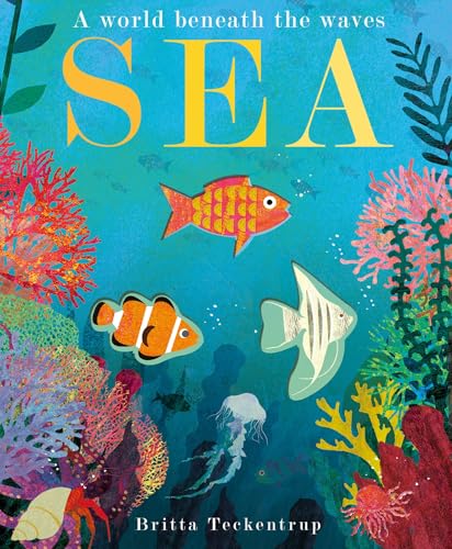 Sea: A World Beneath the Waves: 1 von Little Tiger