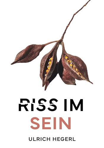Riss im Sein: Ein aufwühlender Gesellschaftsroman über Macht, Liebe, Wissenschaft und Glauben in einer aus den Fugen geratenen Welt von BoD – Books on Demand